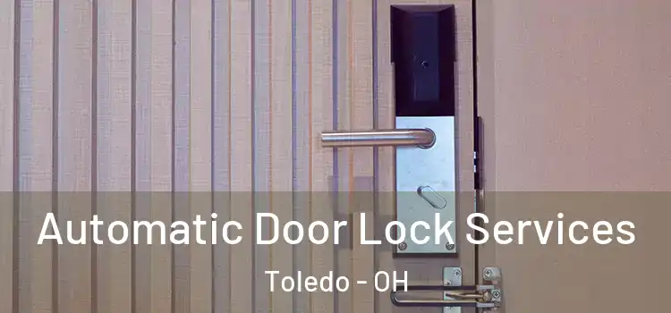 Automatic Door Lock Services Toledo - OH