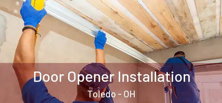  Door Opener Installation Toledo - OH