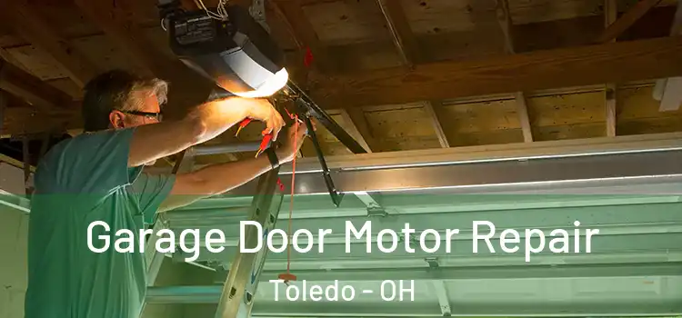  Garage Door Motor Repair Toledo - OH