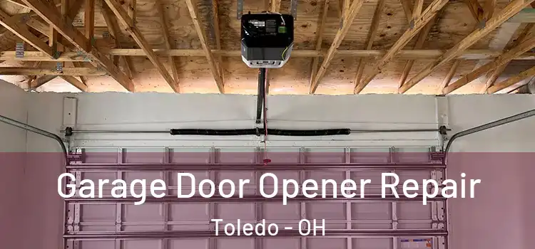  Garage Door Opener Repair Toledo - OH