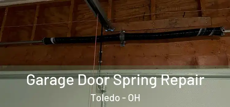 Garage Door Spring Repair Toledo - OH