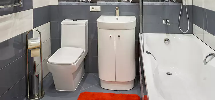 Hansgrohe Shaving Mirror Toledo